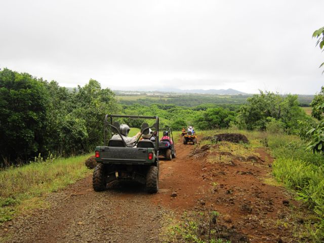 IMG 0446 copy